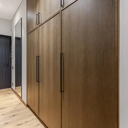 Luxurious In The Center Nr4 * Kaunas